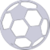 sports icon